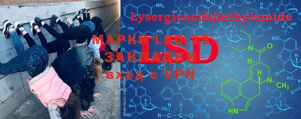 стафф Аркадак